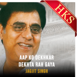 Aap Ko Dekhkar Dekhta Rah Gaya (With Guide Music) (Live) - MP3